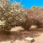 Ferienhaus Casa Cote Sud - Mas Bois Fontaine Nîmes