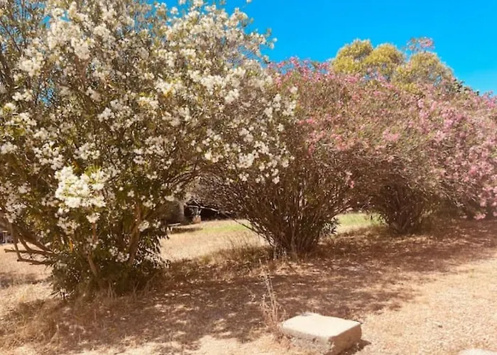 Hébergement de vacances Casa Cote Sud - Mas Bois Fontaine Nîmes