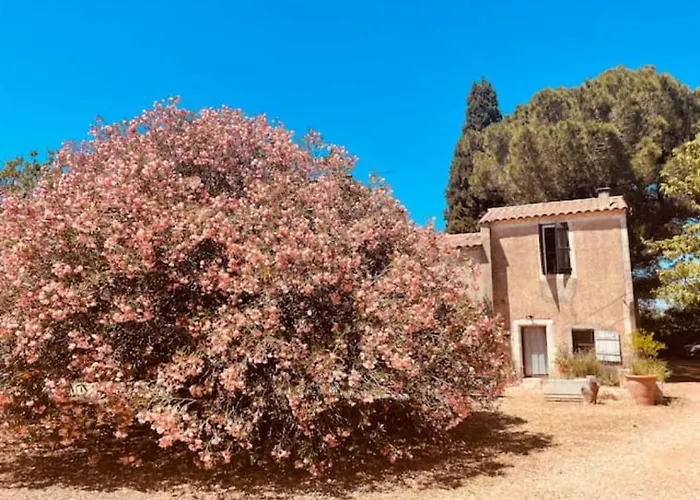 Ferienhaus Casa Cote Sud - Mas Bois Fontaine Nîmes